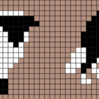 Border collie mouton.jpeg