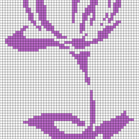 Rose 3