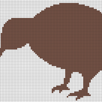 Kiwi bird