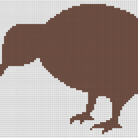 Kiwi bird