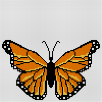monarch
